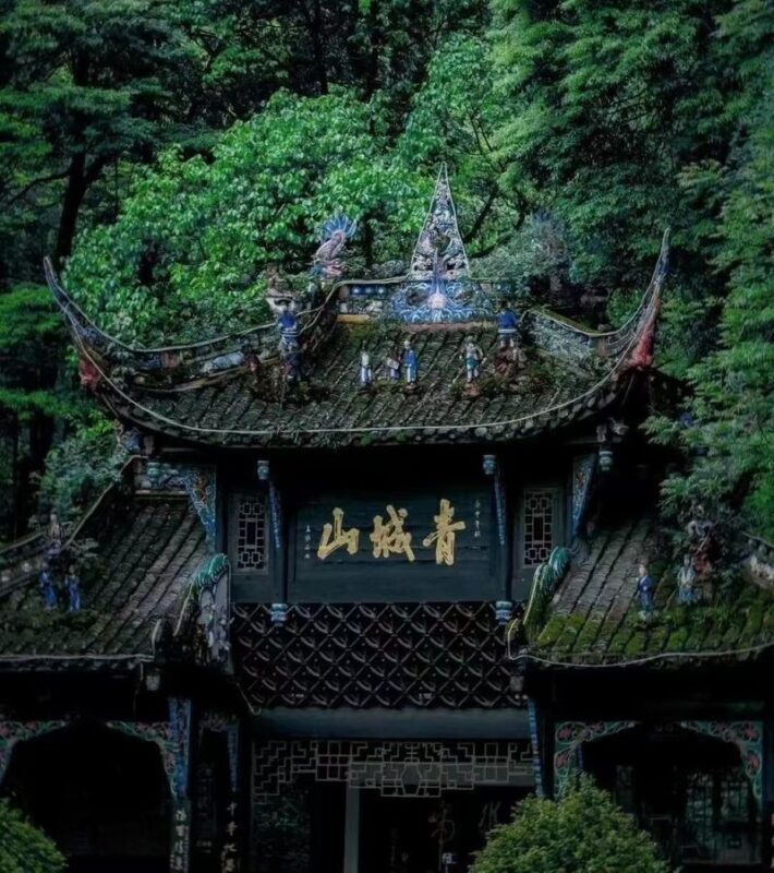 Mount Qingcheng and Dujiangyan World Heritage One-Day Tour (including tickets) - Nanqiao and the food element