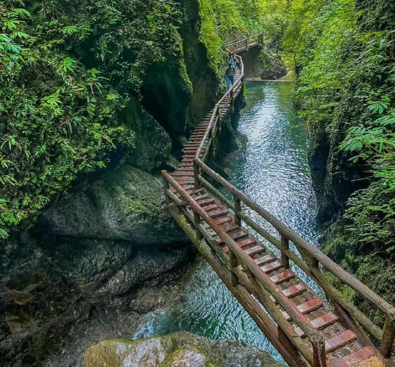 Mount Qingcheng and Dujiangyan World Heritage One-Day Tour (including tickets) - What the Mandarin guide means for your visit
