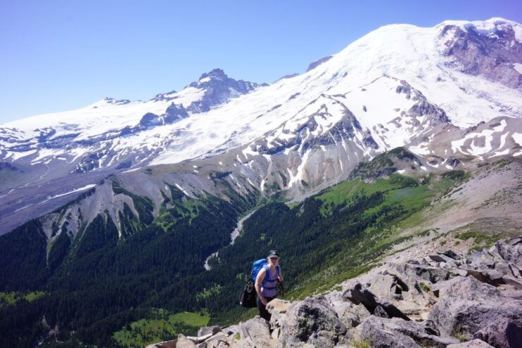 Mount Rainier: Day Hike on the Mountain - Experience and Highlights
