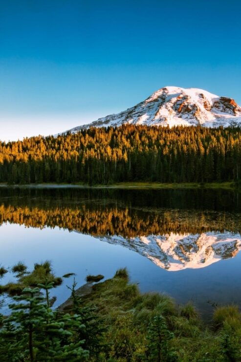 Mount Rainier National Park: Audio Tour Guide - Tour Overview