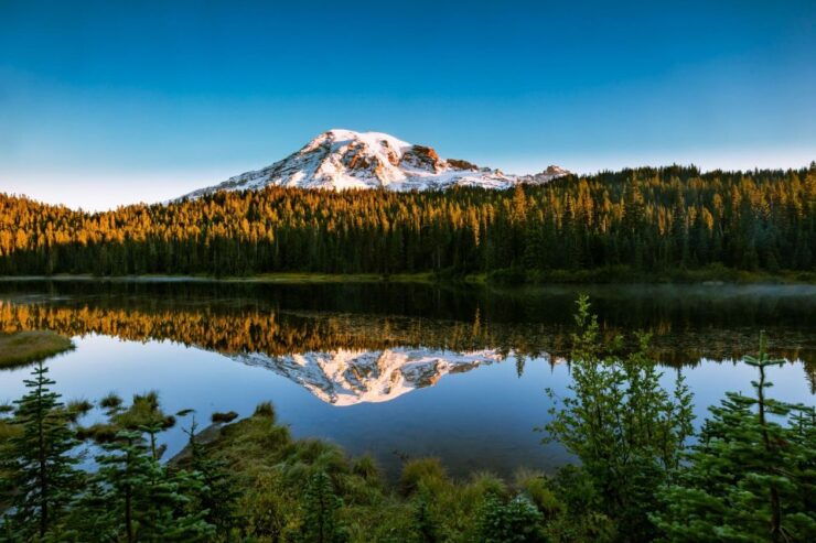 Mount Rainier National Park: Audio Tour Guide - Tour Provider and Duration