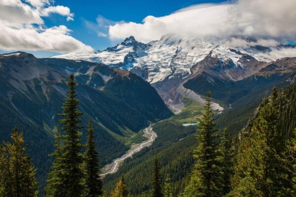 Mount Rainier National Park: Audio Tour Guide - Tour Highlights and Experience