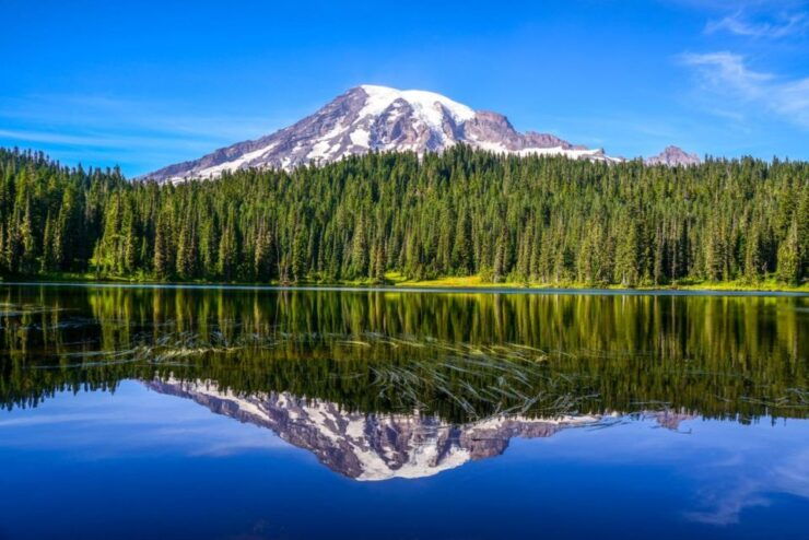 Mount Rainier National Park:Nature, Waterfalls,and Wildlife - Park Entry and Transportation