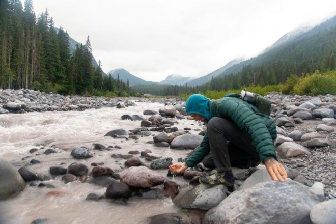 Mount Rainier NP: Full Day Private Tour & Hike From Seattle - Experience Highlights