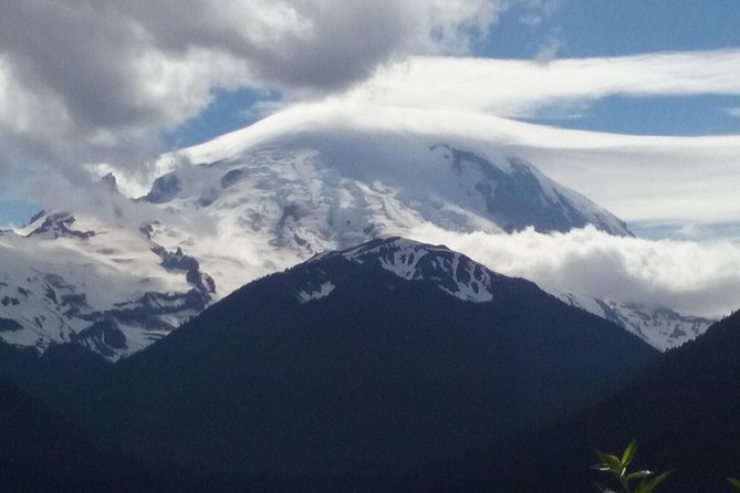 Mount Rainier Tour From Seattle - Tour Highlights