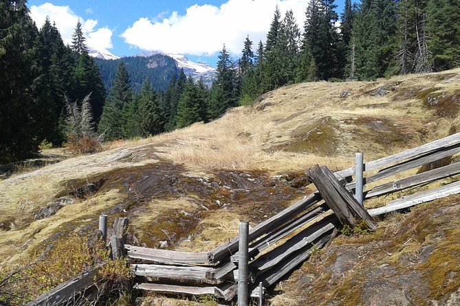 Mount Rainier Tour From Seattle - Tour Tips