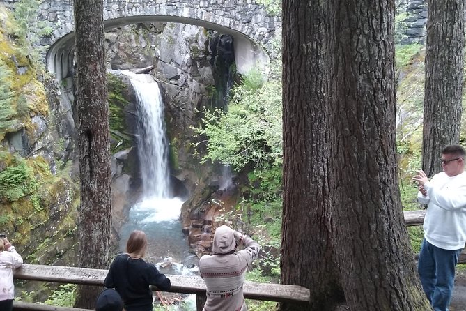 Mount Rainier Tour From Seattle - Tour Reviews