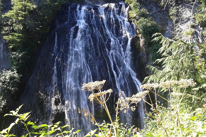 Mount Rainier Tour From Seattle - Common Questions