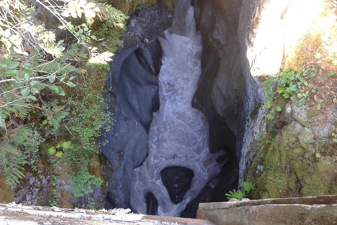 Mount Rainier Tour From Seattle - The Sum Up
