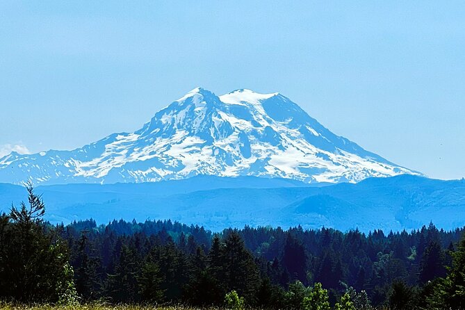 Mount Rainier Tour From Seattle - Tour Highlights and Itinerary
