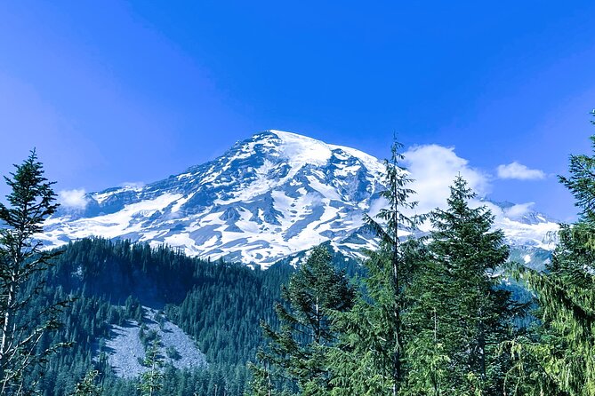 Mount Rainier Tour From Seattle - Praise for the Tour Guides Performance