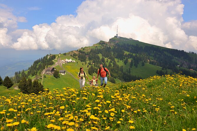 Mount Rigi and Lucerne Summer Day Trip From Zurich - Pricing and Booking