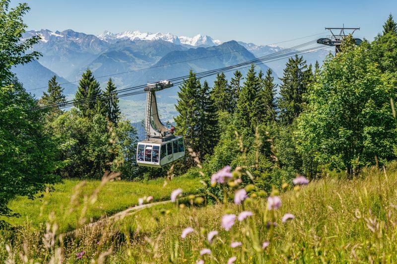 Mount Rigi - Queen of the Mountains Ticket - The railway is part of the mountain experience