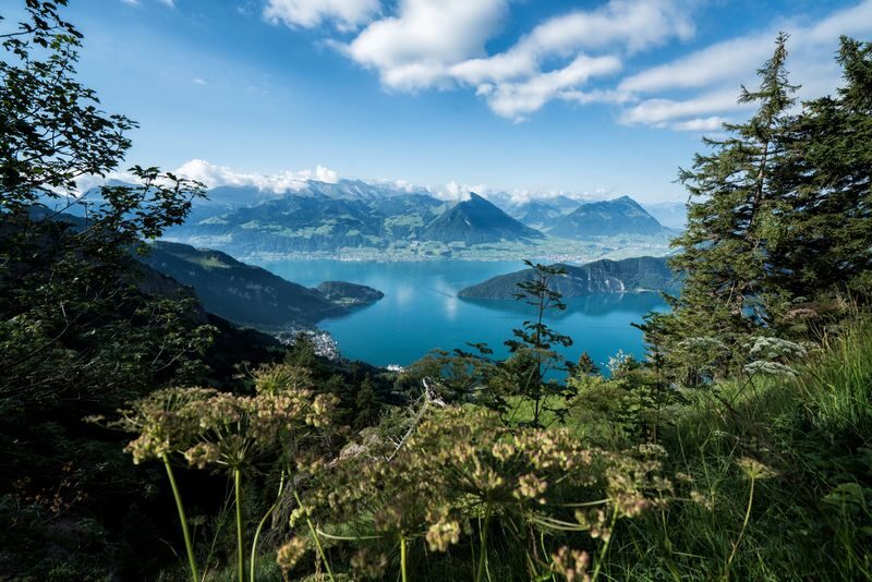 Mount Rigi - Queen of the Mountains Ticket - Price makes most sense when you use the package