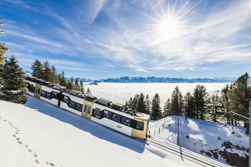 Mount Rigi - Queen of the Mountains Ticket - A few practical habits can prevent a ticket snag