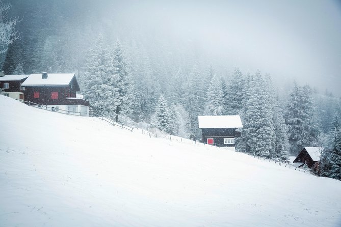 Mount Rigi Winter Day Trip From Zurich - Tour Details