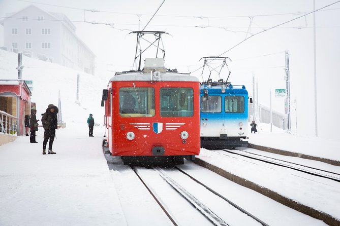 Mount Rigi Winter Day Trip From Zurich - Traveler Reviews