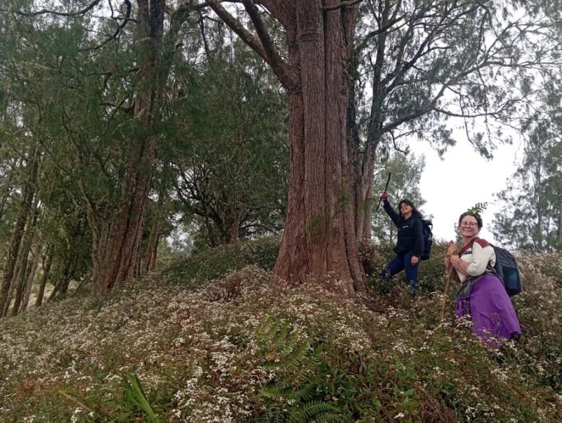 Mount Rinjani 2 Days Trek via Aik Berik Hidden Route - Who Is This Trek Best For?