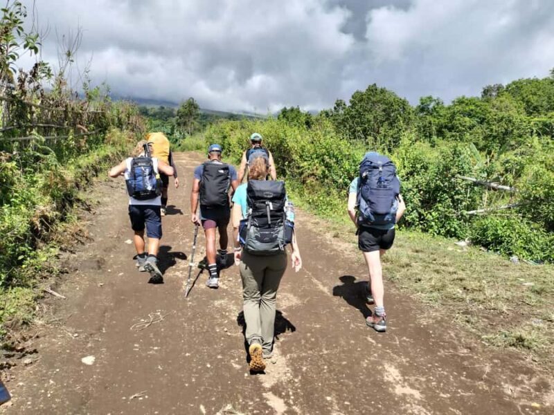 Mount Rinjani: 2D/1N Trekking Summit Rinjani 3726m Best Tour - A Practical Overview of the Mount Rinjani Trekking Experience