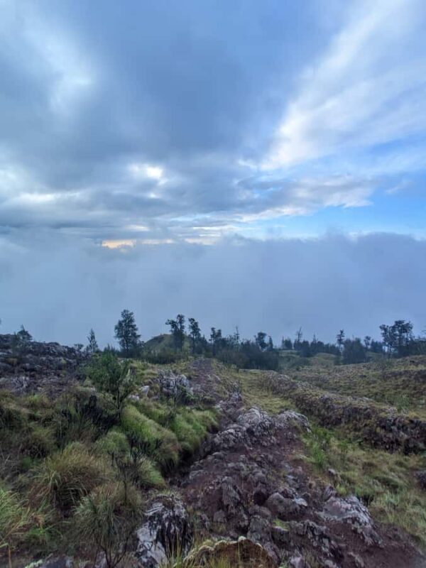 Mount Rinjani: 2D/1N Trekking To Sembalun Or Senaru Views - An In-Depth Look at the Mount Rinjani Trek