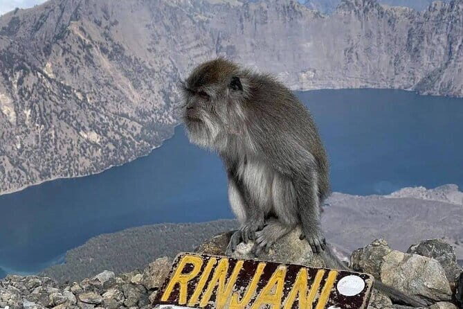 Mount Rinjani 2D 1N trekking to summit - FAQ