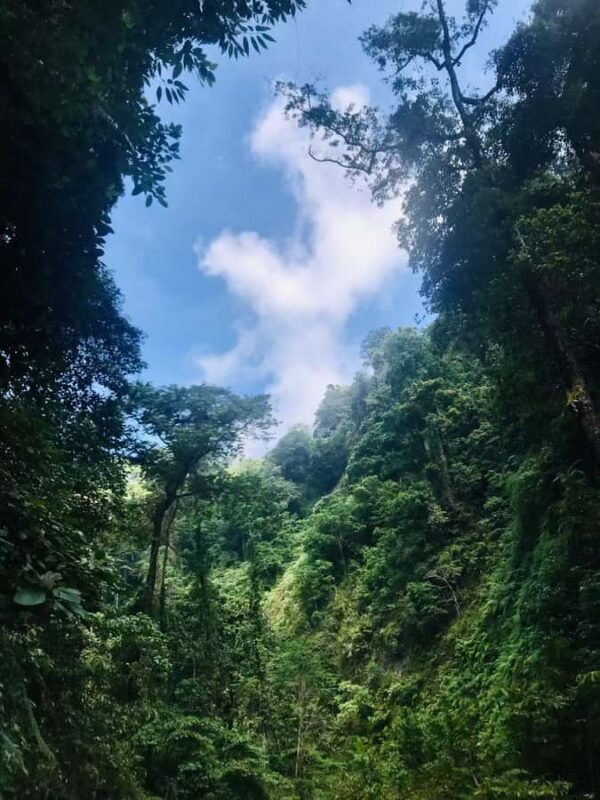 Mount Rinjani 2day and 1night Via Senaru Crater Rim - Who Should Consider This Tour?