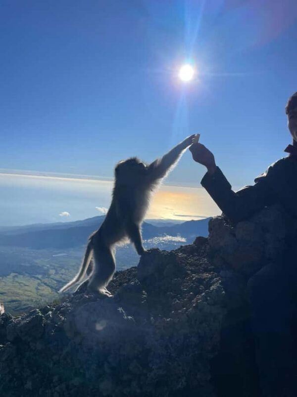 Mount Rinjani Hike Summit 1-Day Trekking Tour - Mount Rinjani Hike Summit 1-Day Trekking Tour: An Authentic Adventure in Indonesia