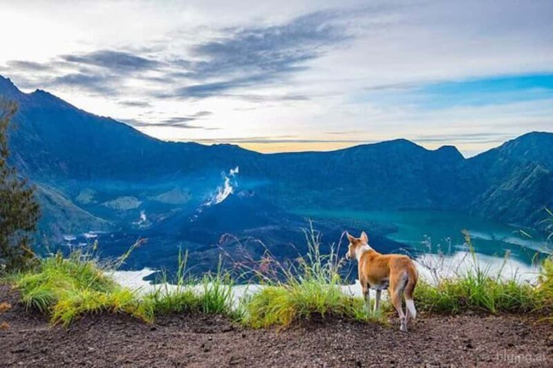 mount rinjani One day trek - Authentic Experiences from Tour Reviews