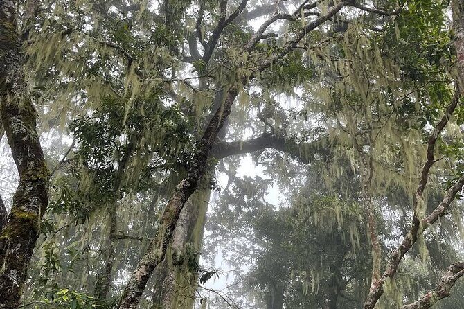 Mount Rinjani Second Summit 2 Days 1 Night - The Itinerary in Detail: What to Expect