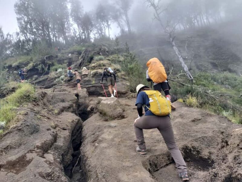 Mount Rinjani: Sembalun/Senaru Summit 2-Day Trekking Tour - An Authentic Rinjani Experience in Just Two Days