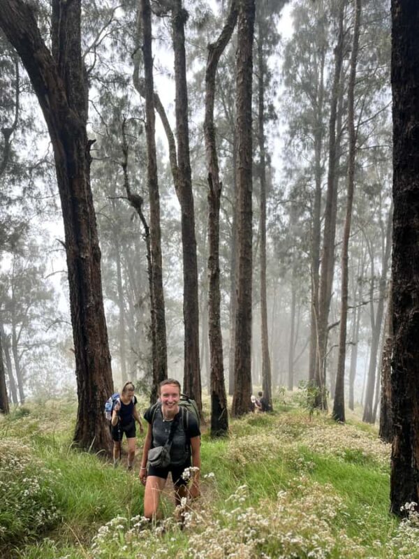 Mount Rinjani Setampol Rim Outdoor Hike and Camping Tour - The Sum Up