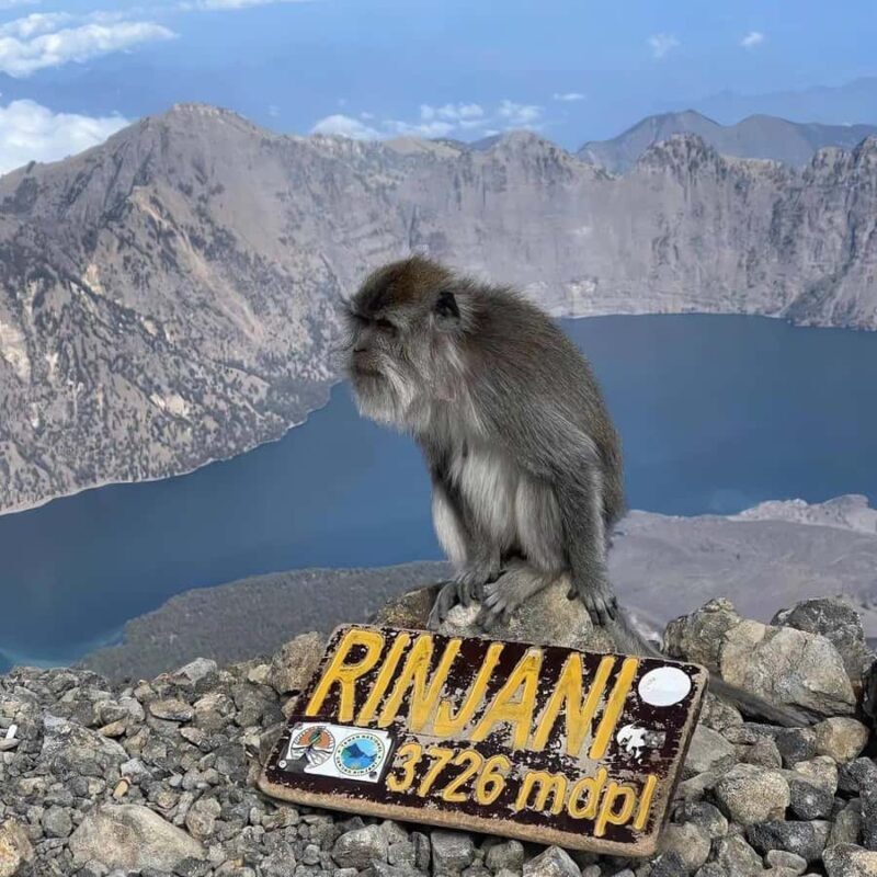 Mount rinjani summit 2 D/1 N tour - Good To Know