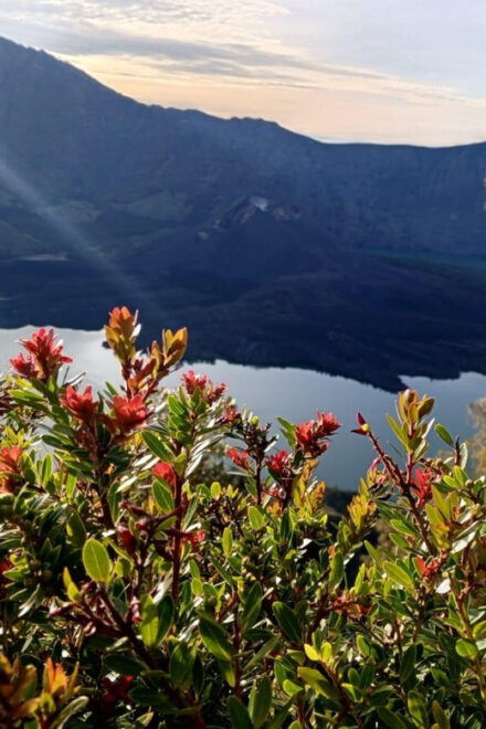 Mount Rinjani Trekking 3D/2N Summit,Lake&Senaru BestS ELLER - Pricing Information