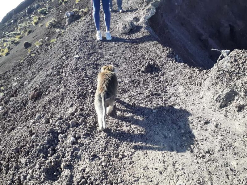 Mount Rinjani : Trekking Rinjani Senaru Crater Rim - Final Thoughts