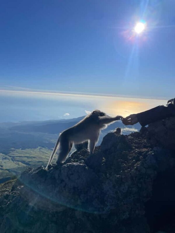 Mount Rinjani: Trekking To Summit Rinjani 3726m Day Tour - Guides & Support