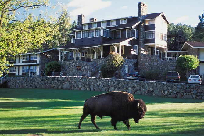 Mount Rushmore and Black Hills Bus Tour With Live Commentary - Inclusions and Logistics