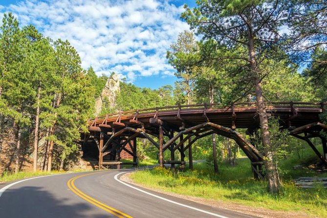 Mount Rushmore and Black Hills Bus Tour With Live Commentary - Positive Reviews of Scenery