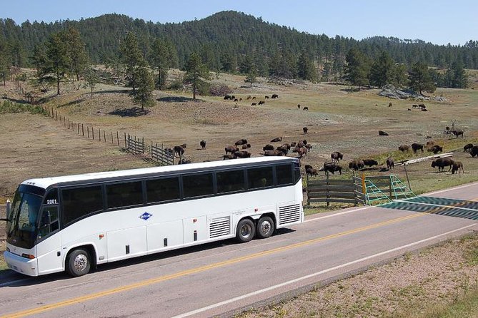 Mount Rushmore and Black Hills Bus Tour With Live Commentary - Directions
