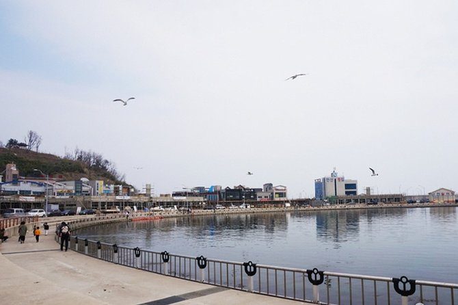 Mount Seorak and Sokcho Customizable Private Tour - Common Questions