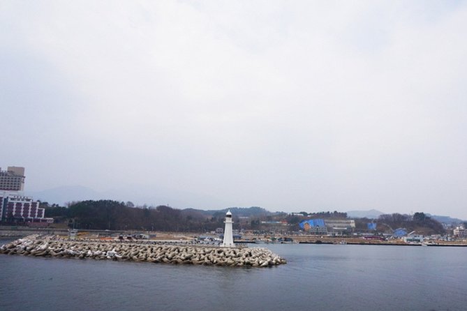 Mount Seorak and Sokcho Customizable Private Tour - The Sum Up