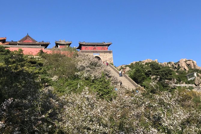 Mount Tai Private Tour From Jinan by Bullet Train With Cable Car Ride - Pricing and Reservation Details