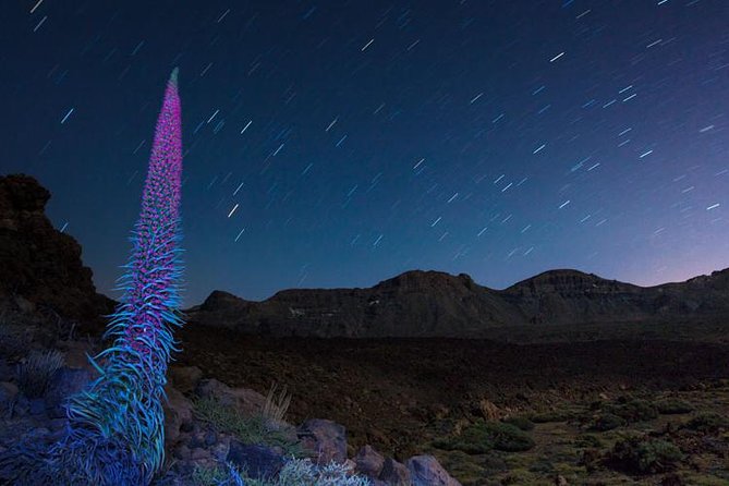 Mount Teide Night Tour: Stargazing, Dinner and Hotel Pick up - Inclusions
