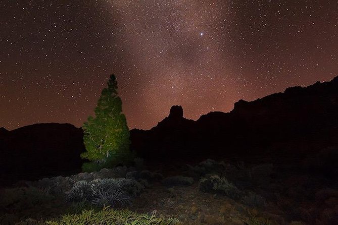 Mount Teide Night Tour: Stargazing, Dinner and Hotel Pick up - Reviews and Recommendations