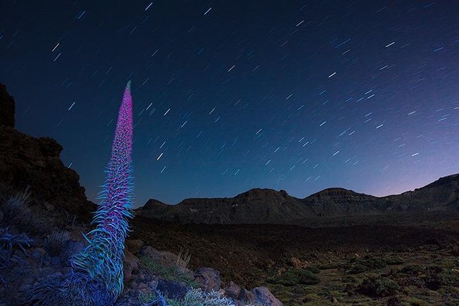 Mount Teide Night Tour: Stargazing, Dinner and Hotel Pick up - Common Questions