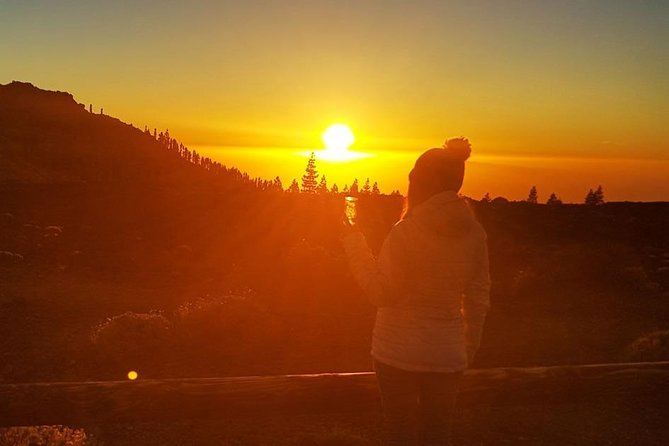 Mount Teide Stargazing With Dinner - What To Expect