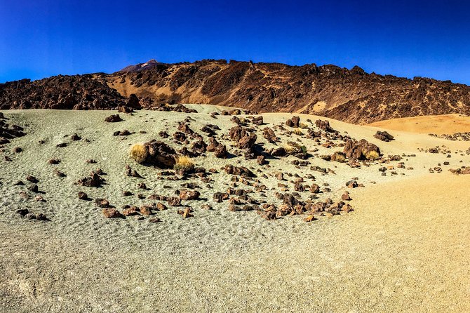 Mount Teide Y Tenerife Norte Con 5 Curso Menú Degustación Tour Privado - Pricing and Booking Details