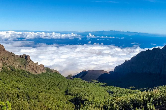Mount Teide Y Tenerife Norte Con 5 Curso Menú Degustación Tour Privado - Reviews and Questions