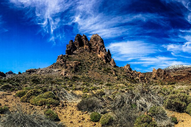 Mount Teide Y Tenerife Norte Con 5 Curso Menú Degustación Tour Privado - Common Questions