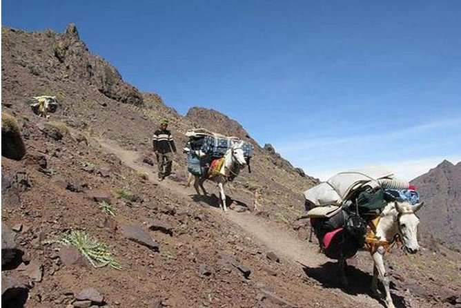 Mount Toubkal: 2-Day Climb From Marrakech - What to Expect
