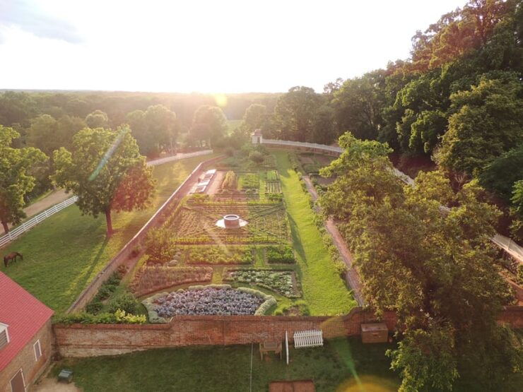 Mount Vernon: George Washingtons Estate With Audio Guide - Experience Highlights